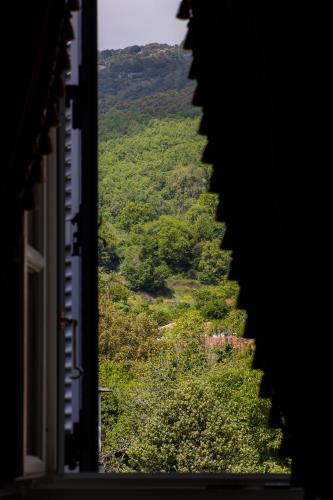 a view from a window looking out at a forest at Archontiko Naoumidi in Portariá