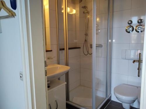 a bathroom with a shower and a toilet and a sink at ciao-aschau Haus zur Burg Ap108 Weber in Aschau