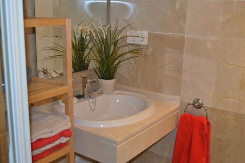 ein Badezimmer mit einem Waschbecken und einer Topfpflanze in der Unterkunft Duquesa Village 2115 in Manilva