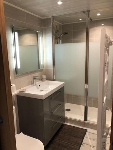 une salle de bain avec un lavabo et une douche dans l'établissement HAMEAU DES CAPELLANS Duplex avec superbe vue marina piscine wifi gratuit parking gratuit, à Saint-Cyprien