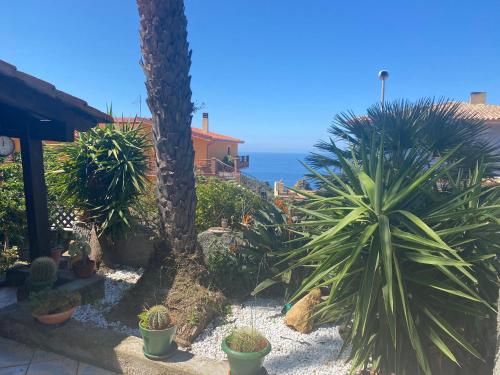 a garden with palm trees and the ocean in the background at Casa Vacanza Sa dommu de Teresa in Nebida