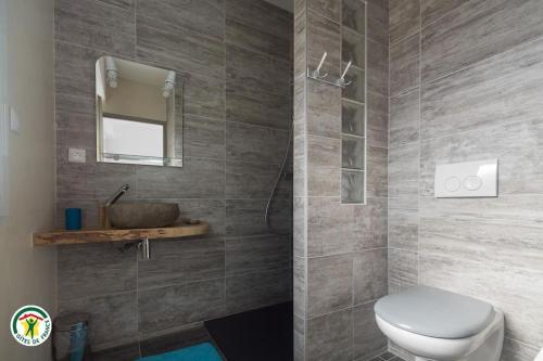łazienka z toaletą i umywalką w obiekcie Gite de france 4 épis. 13 pers vercors-coulmes 