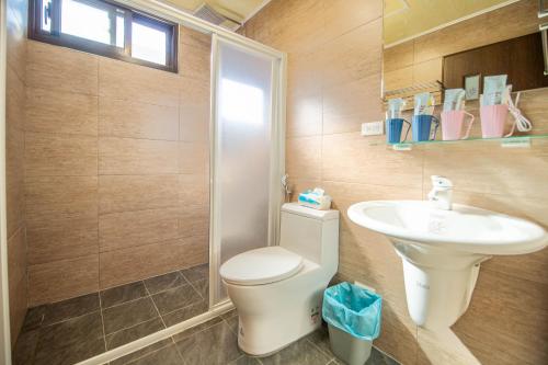 ein Bad mit einem WC und einem Waschbecken in der Unterkunft 別野城北 in Hsing-wen