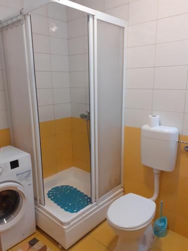 eine Dusche im Bad mit WC und Waschmaschine in der Unterkunft Ballet apartament in Skopje