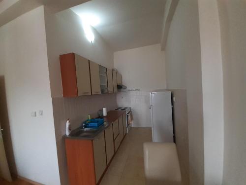 eine Küche mit einer Spüle und einem Kühlschrank in der Unterkunft Ballet apartament in Skopje