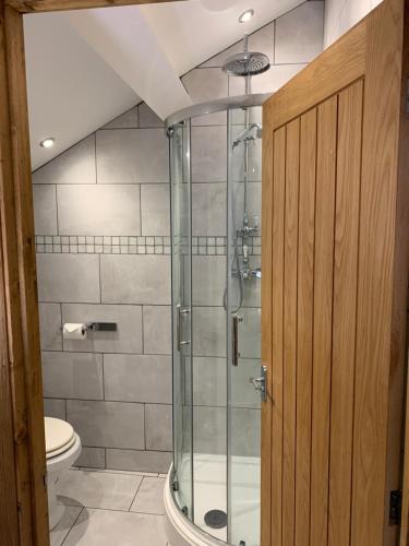 a bathroom with a glass shower with a toilet at Broombush B & B in Aberhafesp