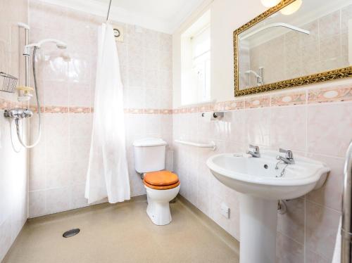 a bathroom with a toilet and a sink and a mirror at Garden Cottage in Great Yarmouth