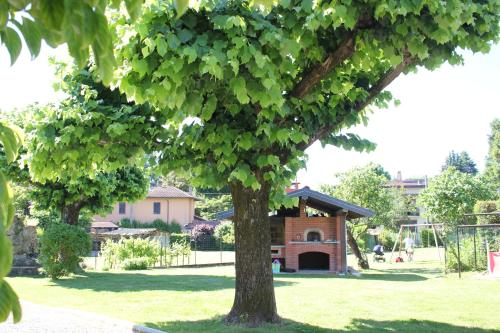 a tree in a park with a building in the background at B&B I due tigli in Travedona