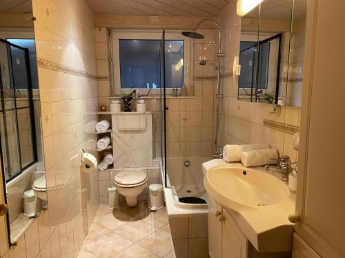La salle de bains est pourvue d'un lavabo, de toilettes et d'une douche. dans l'établissement Appartement 3 lys, à Saint-Louis