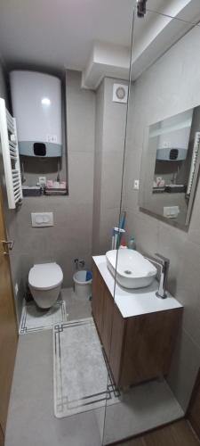 a bathroom with a sink and a toilet and a mirror at Apartman GOLD in Bjelašnica