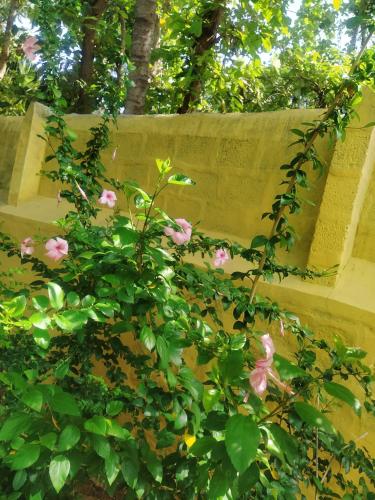 a bush with pink flowers next to a fence at Kallidai Home Stay in Ambāsamudram