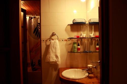 a bathroom with a sink and a toilet and shelves at Casanicca Habitaciones privadas en Casa Compartida in San Martín de los Andes