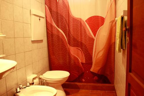 a bathroom with a toilet and a shower curtain at Casanicca Habitaciones privadas en Casa con espacios compartidos in San Martín de los Andes