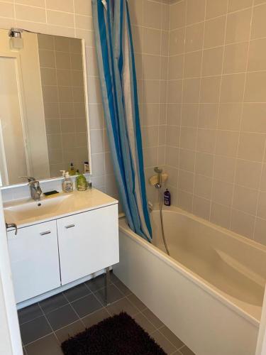 une salle de bain avec un lavabo, une baignoire et un miroir dans l'établissement Résidence Meublée Disney et Paris, à Bussy-Saint-Georges