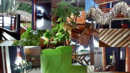 a collage of photos with a green chair in a room at Hostel El Gran Azul Olon in Olón