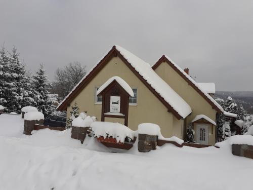 a house covered in snow in front of it at Tisá 488 in Tisá