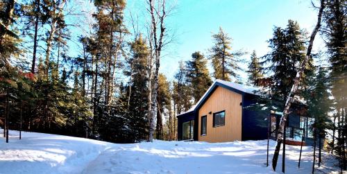 a small house in the snow in the woods at Charlevoix expérience thermale en pleine nature - Suites Nature Charlevoix - Suite #1 in Les Éboulements