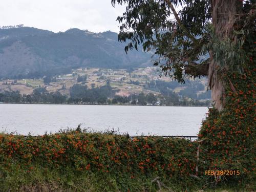 a view of a large body of water with a tree at Hotel San Marcos in Paipa