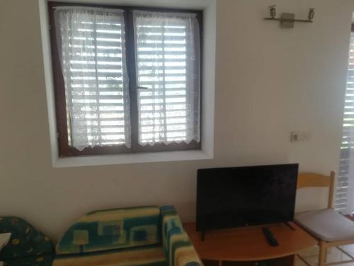 TV a/nebo společenská místnost v ubytování Apartments Martinac