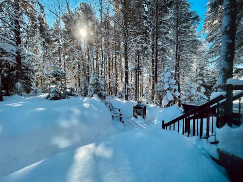 a snow covered yard with a fence and trees at Charlevoix expérience thermale en pleine nature - Suites Nature Charlevoix - Suite #1 in Les Éboulements