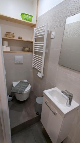 a small bathroom with a toilet and a sink at studio zen tout neuf proche pithiviers 