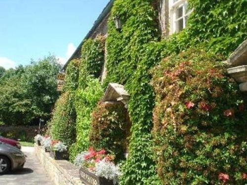 a row of hedges on the side of a building at Inn for All Seasons in Burford