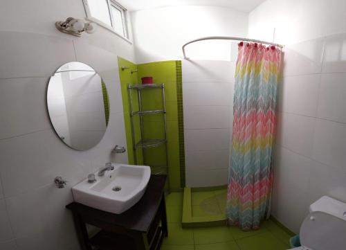 y baño con lavabo, espejo y cortina de ducha. en Zafiro Mar del Plata en Mar del Plata
