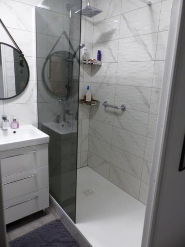 a shower with a glass door in a bathroom at Appartement cosy 4 personnes in Mâcon