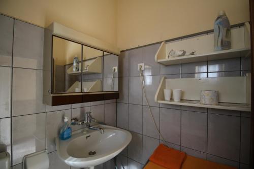 ein Bad mit einem Waschbecken und einem Spiegel in der Unterkunft Apartman Zaton in Zaton