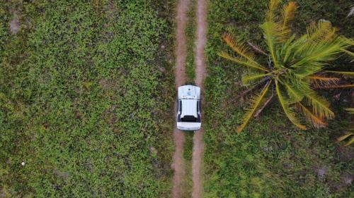 an overhead view of a car in the grass next to a palm tree at Pousada França in Japaratinga