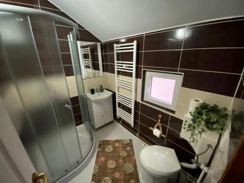 a bathroom with a shower and a toilet and a tv at Floare de Maramures 1 in Vadu Izei