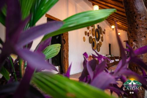 GarzónにあるHotel Parque la Casonaのギャラリーの写真