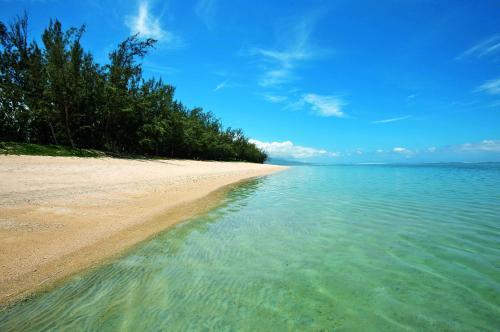 a sandy beach with trees and the water at Hotel Le Recif, Ile de la Reunion in Saint-Gilles les Bains