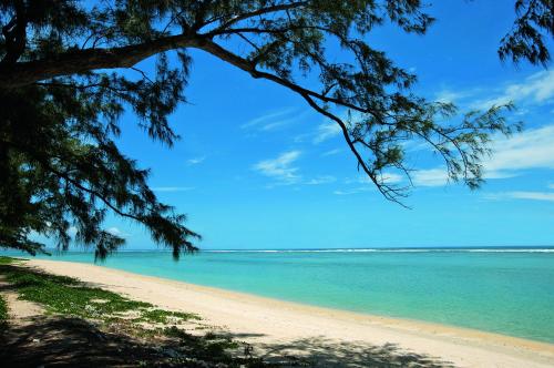 a beach with a tree and the ocean at Hotel Le Recif, Ile de la Reunion in Saint-Gilles les Bains