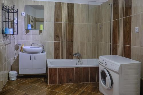 a bathroom with a washing machine and a sink at Demetrovics Udvarház in Eger