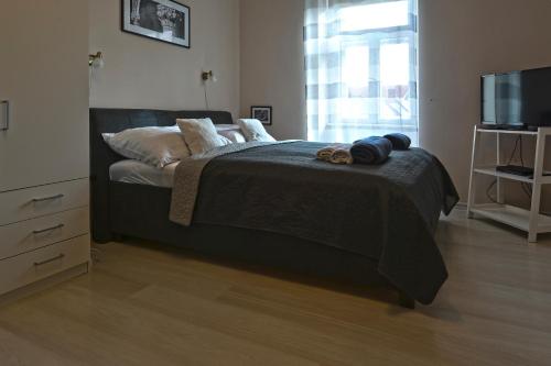 a bedroom with a bed with a television and a dresser at Demetrovics Udvarház in Eger