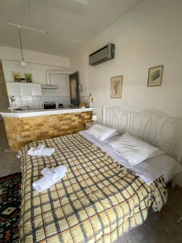 1 dormitorio con 2 camas en una habitación en Δωματια ΞΑΝΘΟΥΛΑ, en Amaliapoli
