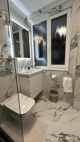 a bathroom with a toilet and a sink at Bogdan's Ultracentral Residence 1 in Timişoara