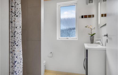 Fjellerupにある9 Bedroom Stunning Home In Glesborgのバスルーム(洗面台、窓付)