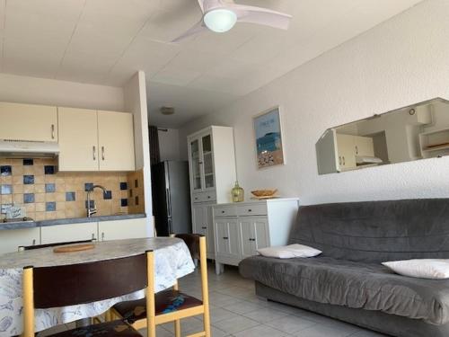 un salon avec un canapé et une cuisine dans l'établissement Charmant appart avec jardinet, terrasse, animaux admis - FR-1-503-31, à Balaruc-les-Bains