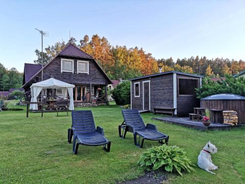 a dog sitting in the grass next to chairs and a house at Trainiškio pirkia in Ginučiai