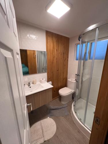 uma casa de banho com um WC, um lavatório e um chuveiro em Cabaña 7 pax + cabañita 4 pax. By Terrabahia em Pichidangui