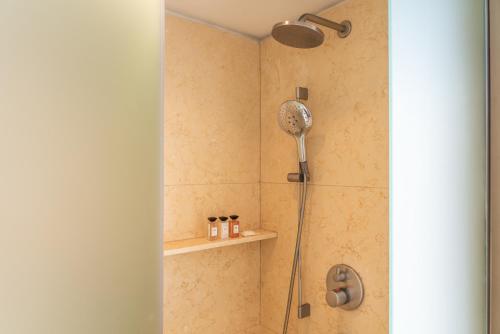 a shower with a shower head in a bathroom at Palacio Duhau - Park Hyatt Buenos Aires in Buenos Aires