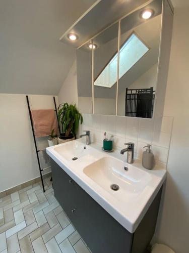 une salle de bain avec un lavabo et un grand miroir dans l'établissement La Pierre des Volcans Chaleureux Calme Champêtre, à Aydat