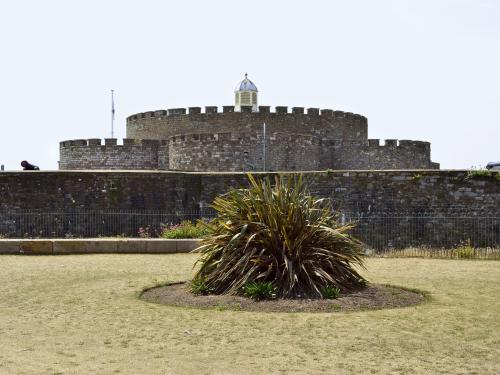 a plant in front of a large castle at Apartment 9 - Uk42740 in Whitstable