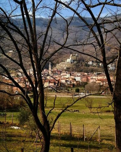a tree in a field with a town in the background at Miralago View in Revine Lago