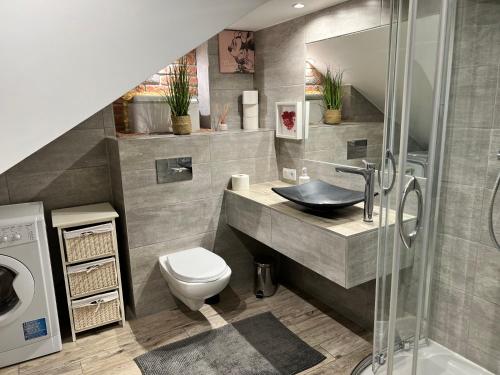 a bathroom with a sink and a toilet and a shower at Apartament Bronowice in Kraków