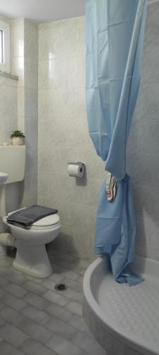 a bathroom with a toilet and a blue shower curtain at Dimitra's in Amarynthos