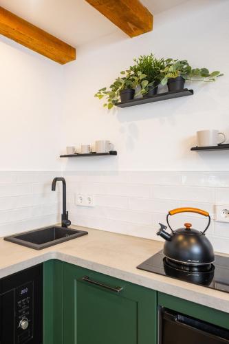 a kitchen with green cabinets and a tea kettle on a stove at stadtmauer apartments - Neue helle Studio Wohnung direkt an der historischen Stadtmauer in Nördlingen