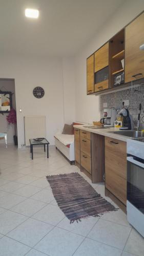 eine Küche mit Holzschränken und einem Teppich auf dem Boden in der Unterkunft Zahner studio in Pitsidia